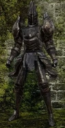 Alonne Captain Set