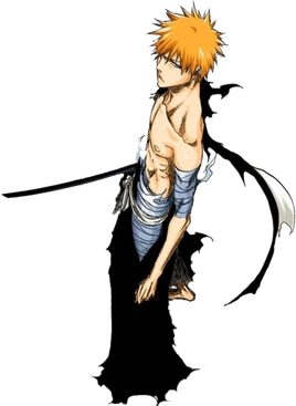 Post-Resurrection Bankai