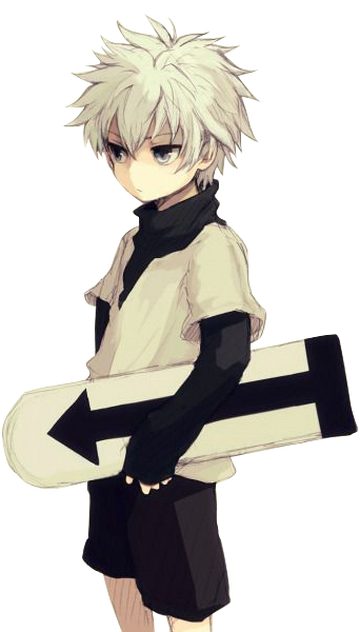 Killua Zoldyck, Wiki