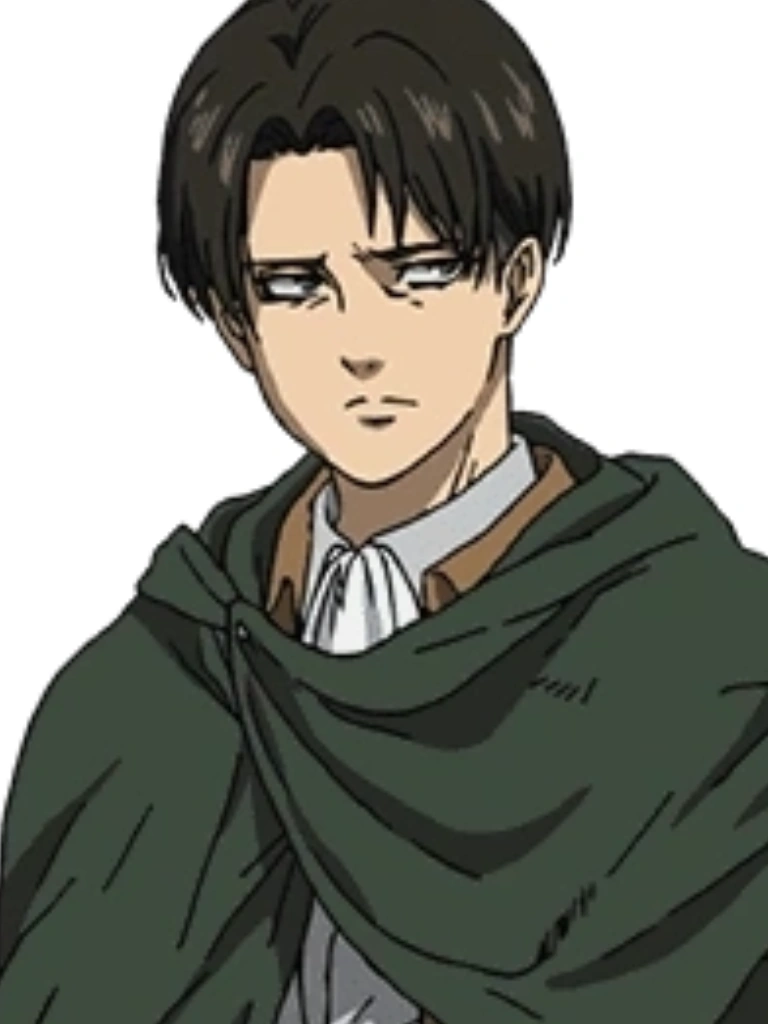 Levi | All Star Collision Wiki | Fandom