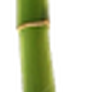 Bamboo Drop.png