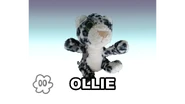 Ollie