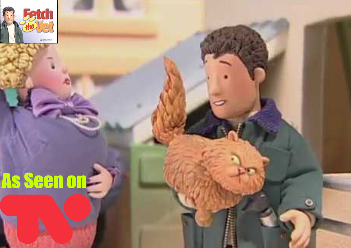 Fetch The Vet All Stars Programs 1965 2009 Wiki Fandom fetch-the-vet-all-stars-programs-1965-2009-wiki-fandom