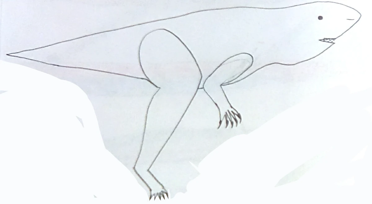 Shark | All Todays Wiki | Fandom