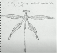 First drawing of the Qu by C. M. Koseman in 1995