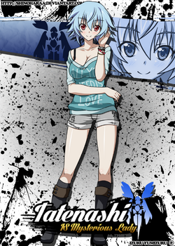 Tatenashi Sarashiki/Gallery, Infinite Stratos Wiki, Fandom