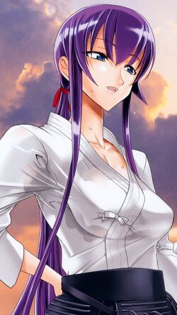 Saeko Busujima, All Worlds Alliance Wiki