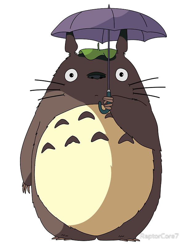 Totoro  Ghibli Wiki  Fandom