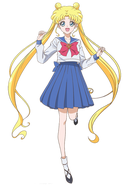 Usagi