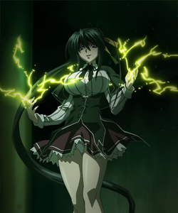 Akena (Akeno Himejima), Anime Adventures Wiki