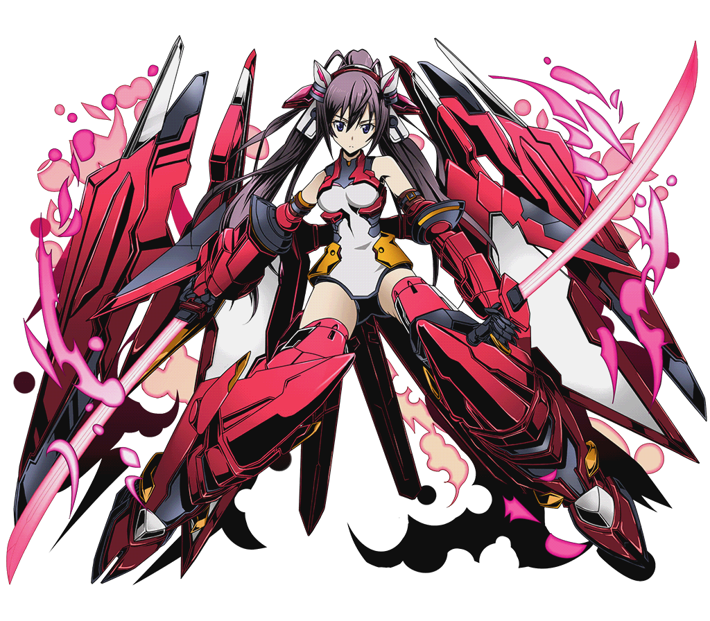 IS (Infinite Stratos) Houki Shinonono