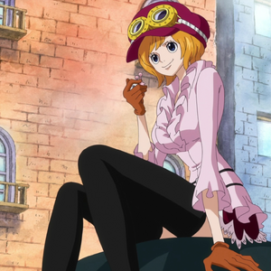 Koala One Piece All Worlds Alliance Wiki Fandom January 2021 (japan) see more ». koala one piece all worlds alliance