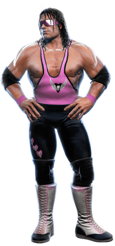 WWE Owen Hart Figure WWF Hart Foundation, Brother of Bret Hart