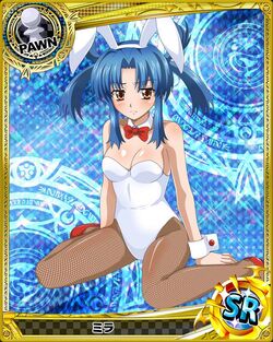 Mira, High School DxD Wiki, Fandom