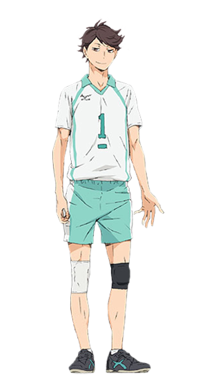 HOLOUN Vollyball Anime Aobajohsai High School Uniform Oikawa Tooru Cosplay  Costume Wig Embroidery Full-Zip Tracksuit Halloween / Trang phục và phụ kiện