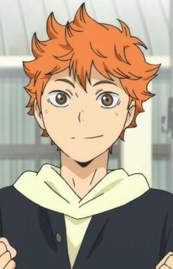 Shouyou Hinata, All Worlds Alliance Wiki