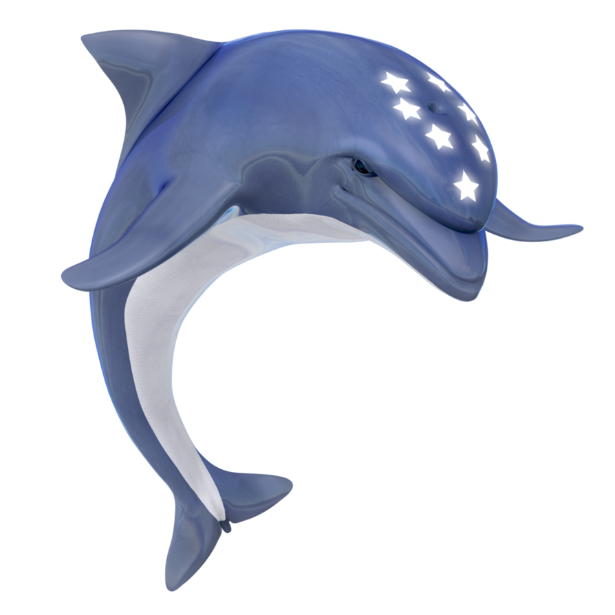 Bottlenose dolphin - Wikipedia