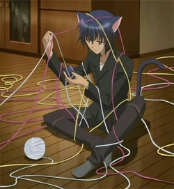 Ikuto Tsukiyomi | All Worlds Alliance Wiki | Fandom