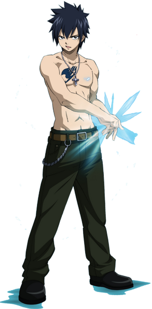 Gray Fullbuster-0.png