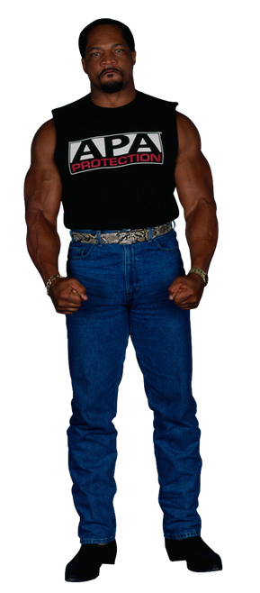Ronsimmons-2