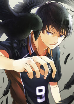 Kageyama Tobio Twixtor - ANIMÉDIA