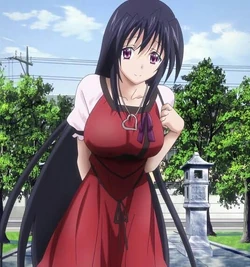 Akeno Himejima Wiki High School Dxd Universe Amino