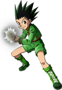 Gon Freecss, the Hunter Prodigy