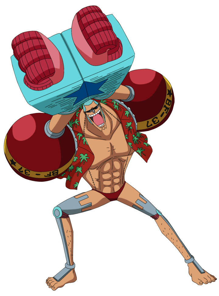 Davy Back Fight, One Piece Wiki