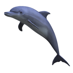 その他 Artbeats Dolphins 3D LiveLife Jotter - Dolphin Family from Deluxebase