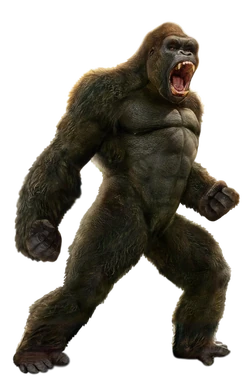 250?cb=20210910031310