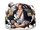 Shanks