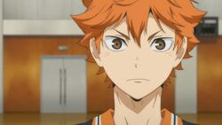 Shouyou Hinata, All Worlds Alliance Wiki