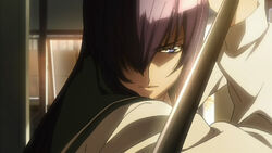 Saeko Busujima, All Worlds Alliance Wiki