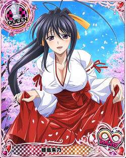 Akeno Himejima | All Worlds Alliance Wiki | Fandom
