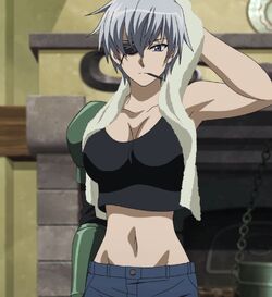 I've always wondered who could replace Najenda as night raid leader. Well  here you go, boss Leone has taken over! : r/AkameGaKILL