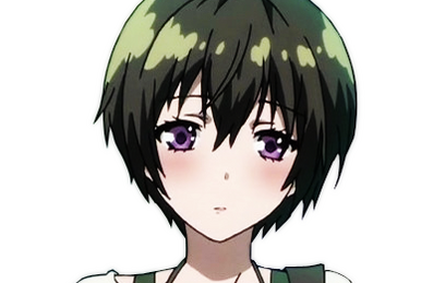 Bokura wa Minna Kawaisou, Zennomi Wiki