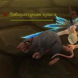 Лабораторная Крыса