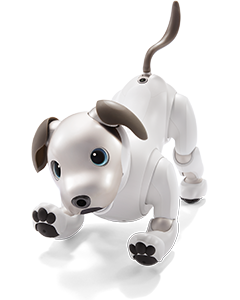 AIBO | All About Electronic Robot Toys Wiki | Fandom