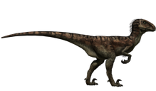 SF・ファンタジー・ホラー Dino Dream RAPTORS Dino Dream Jurassic Park 30th Anniversary Raptors in the