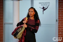 AHC202b 0413r.jpg (225 KB)