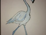 Blue Flamingo