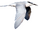 Black-naped Tern.png