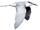 Black-naped Tern.png