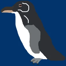 Costa Rican Adelie Penguin