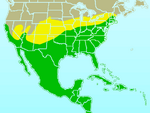 Northern Mockingbird range