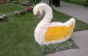 Flower holiday swan