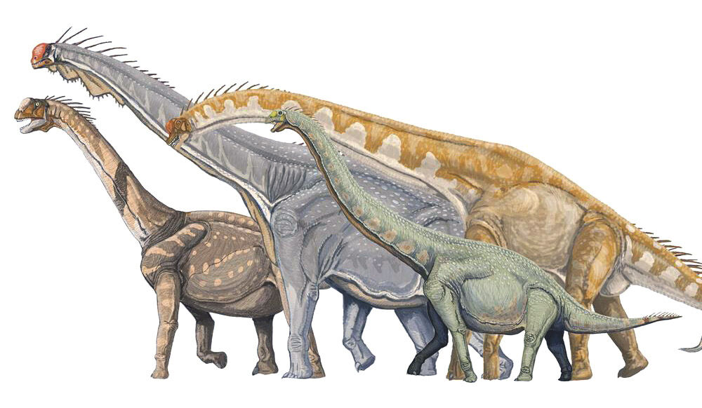 Euhelopus Pictures & Facts - The Dinosaur Database