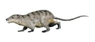 Mammals were a minor part of the Cretacean fauna with Eomaia being the first eutherian.