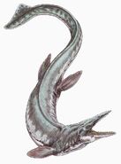 Tylosaurus was the largest known mosasaur, carnivorous marine reptiles that emerged in the late Cretaceous.