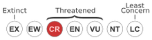 Status iucn3.1 CR